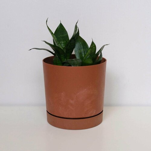 Кашпо для растений, кирпичного цвета, объем 2л, д 15, в 15