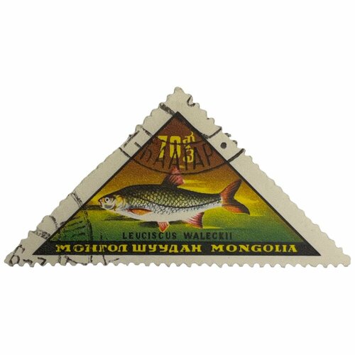 Почтовая марка Монголия 70 мунгу 1962 г. Рыбы почтовая марка монголия 80 мунгу 1946 г медаль за победу 2