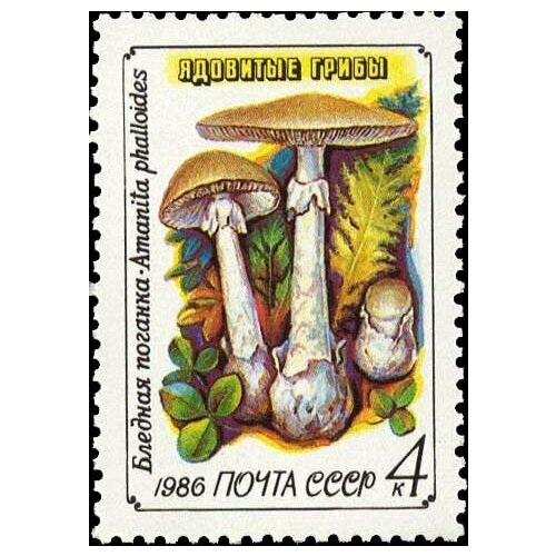 (1986-035) Марка СССР Бледная поганка Ядовитые грибы III O марка бледная поганка 1986 г поле