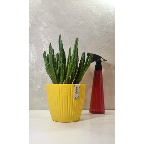 Горшок с дренажной системой Эви VipSet 4,5л желтый