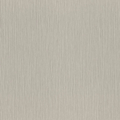 фото Обои Rasch 977257 Metal Spirit флизелиновые 1_06x10м