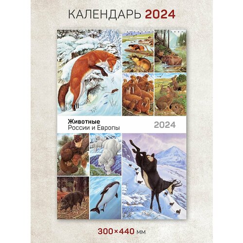 Календарь на 2024 год, настенный, перекидной 