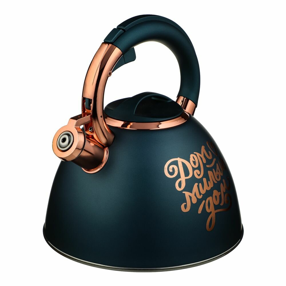 фото VETTA Чайник стальной 2,7 л "Арно", индукция