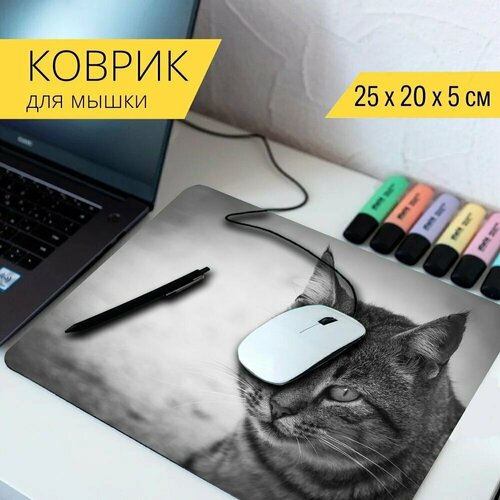 Коврик для мыши с принтом Кошка, feline, млекопитающее 25x20см. коврик для мыши с принтом кошка тигр feline 25x20см