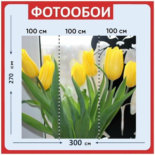 Фотообои Желтый цветы кошка 300x270 см флизелиновыена стену 3970₽