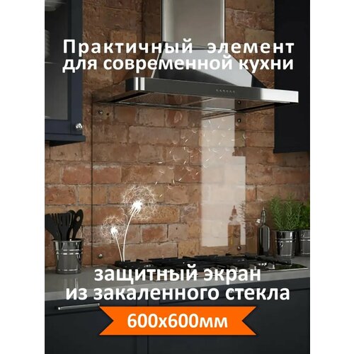 фото Фартук кухонный 600х600х4мм/защитный экран для плиты born to print