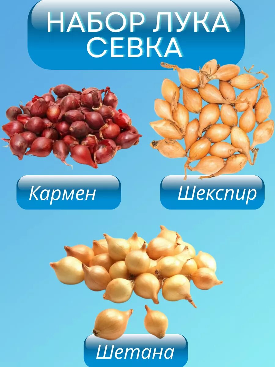 Набор лука севка по 05 кг