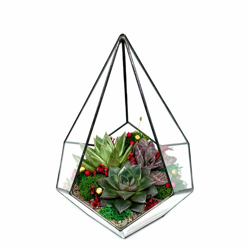 Флорариум с суккулентами Капля Откровение 16х24см 4320₽