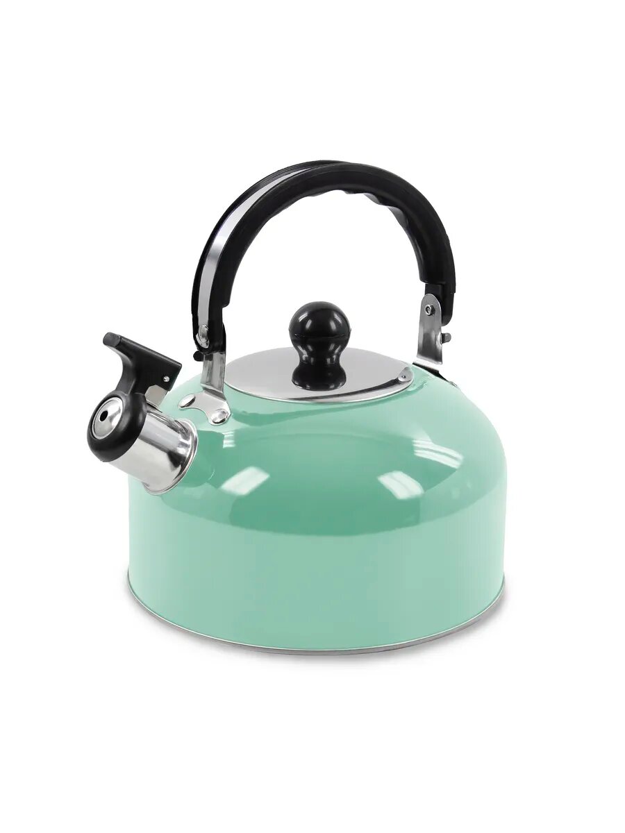 Чайник HOME ELEMENT HE-WK1602, со свистком, нержавеющая сталь, полированный, 2 л
