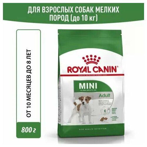 Royal Canin Mini Adult Сухой корм для взрослых собак мелких размеров в возрасте от 10 месяцев до 8 лет, 800 г