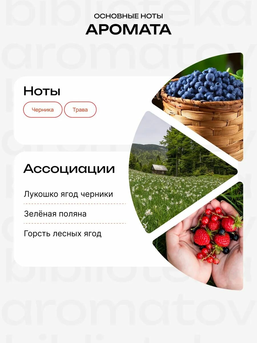 Библиотека ароматов Черника Туалетная вода 30 мл — фото 1