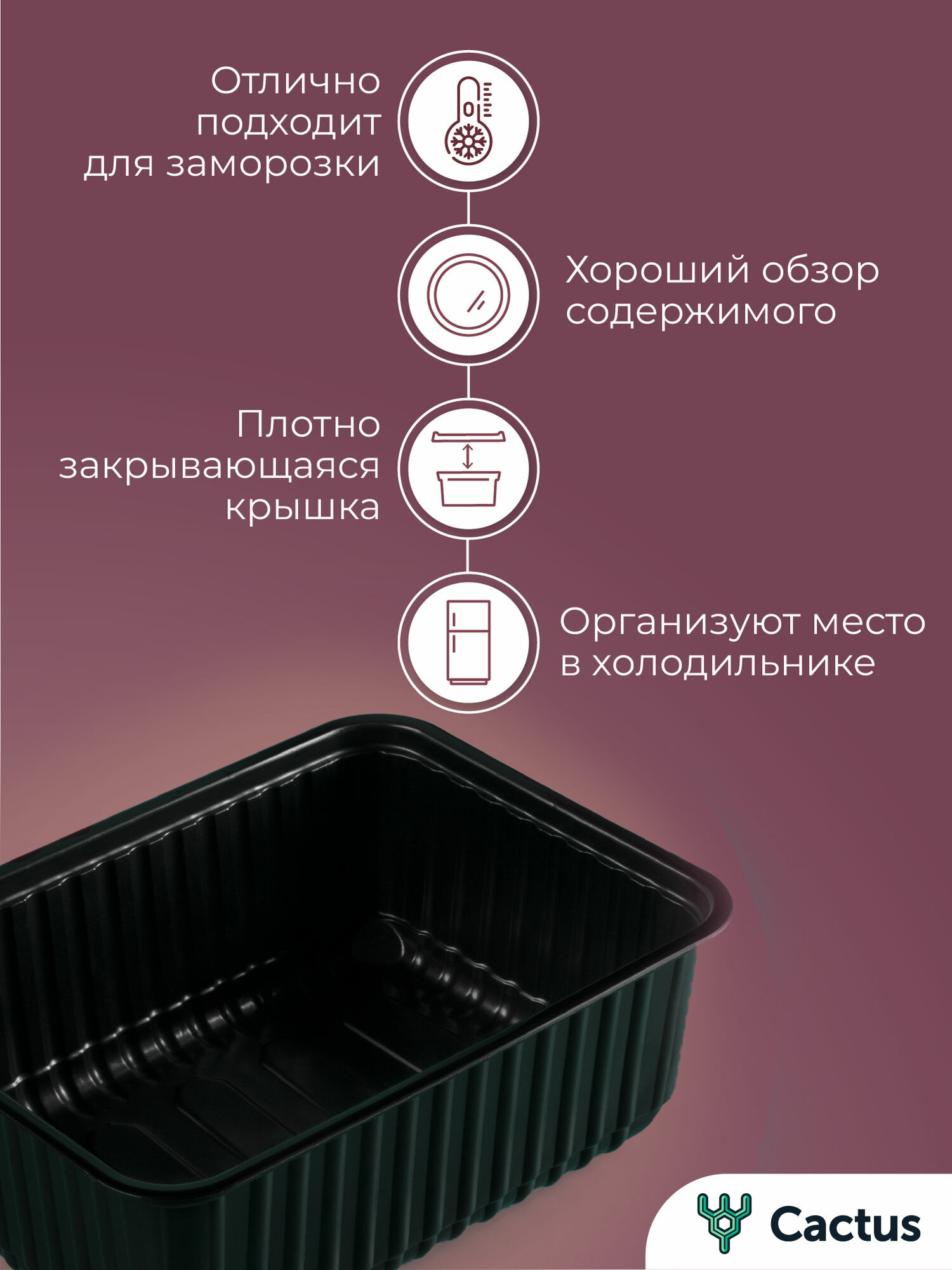 Одноразовый черный контейнер с прозрачной крышкой 1000 мл, набор 10 шт прямоугольная пластиковая посуда для хранения еды, обедов, специй и заморозки продуктов, Cactus — фото 1