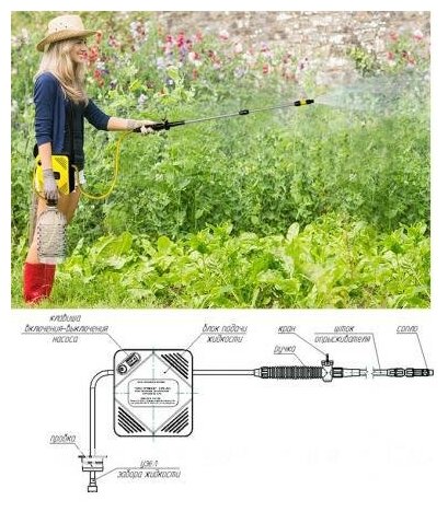 Опрыскиватель садовый аккумуляторный Eco Tuman OGE-10 электрический ручной - фотография № 3