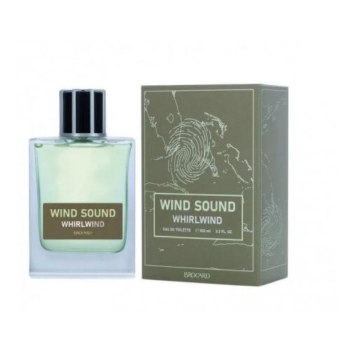 Мужская туалетная вода Brocard Wind Sound. Whirlwind 100 мл мужская туалетная вода brocard gentleman in black 100 мл