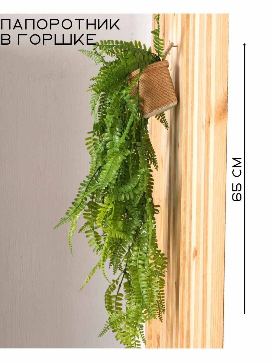 фото MRIYA FLEUR Папоротник в горшке подвесной