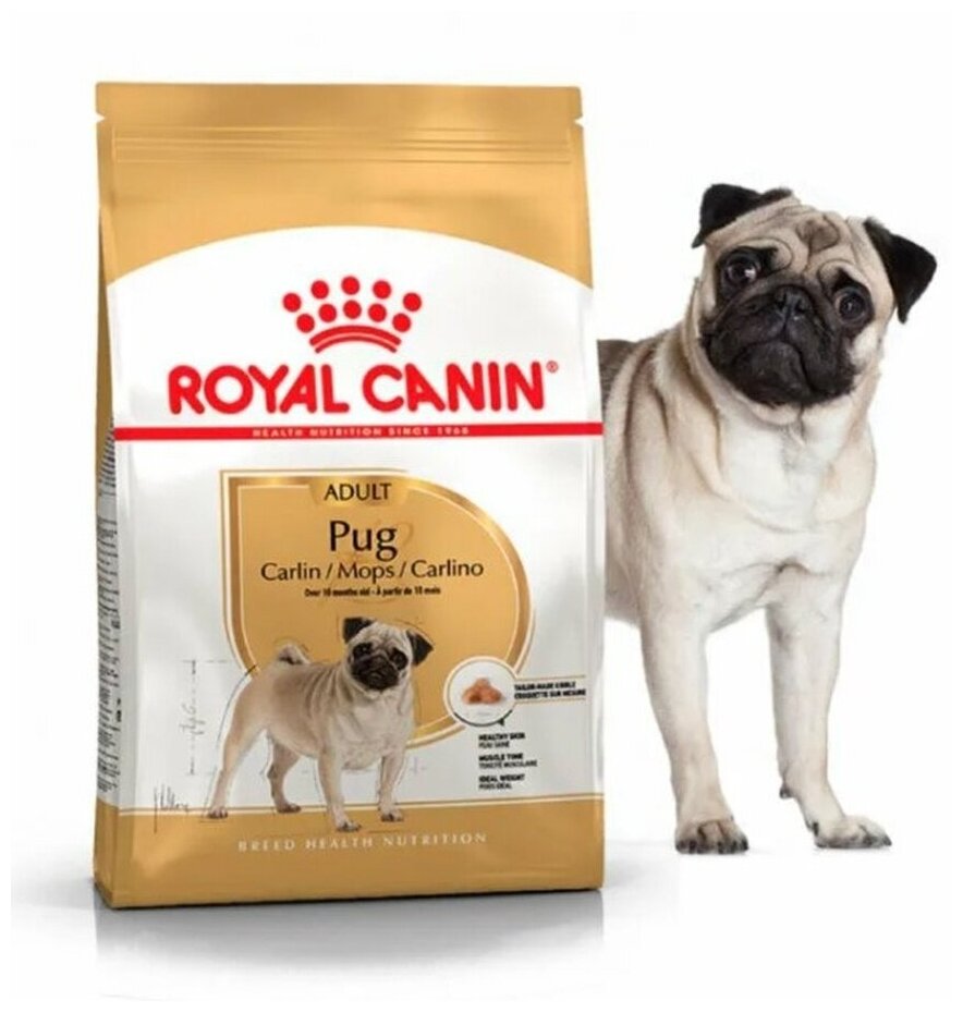 Royal Canin Сухой корм RC Pug Adult для мопса, 7.5 кг