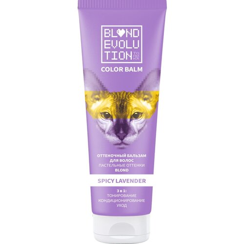  BLOND EVOLUTION     spicy lavender 125 