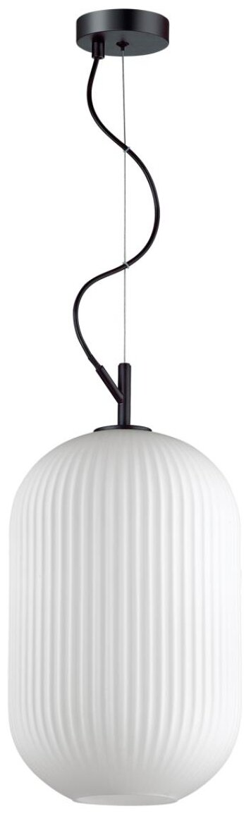 Люстра Odeon Light Roofi 4751/1 E27