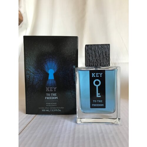 Т/в Кей то Фридом муж. т. в. 100 мл 