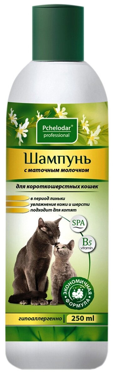 Pchelodar (Пчелодар), серия Professional, шампунь для короткошерстных кошек с маточным молочком, 250 мл