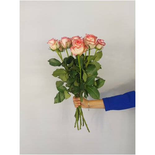 Букет роза розово-белая 60СМ 11 шт
