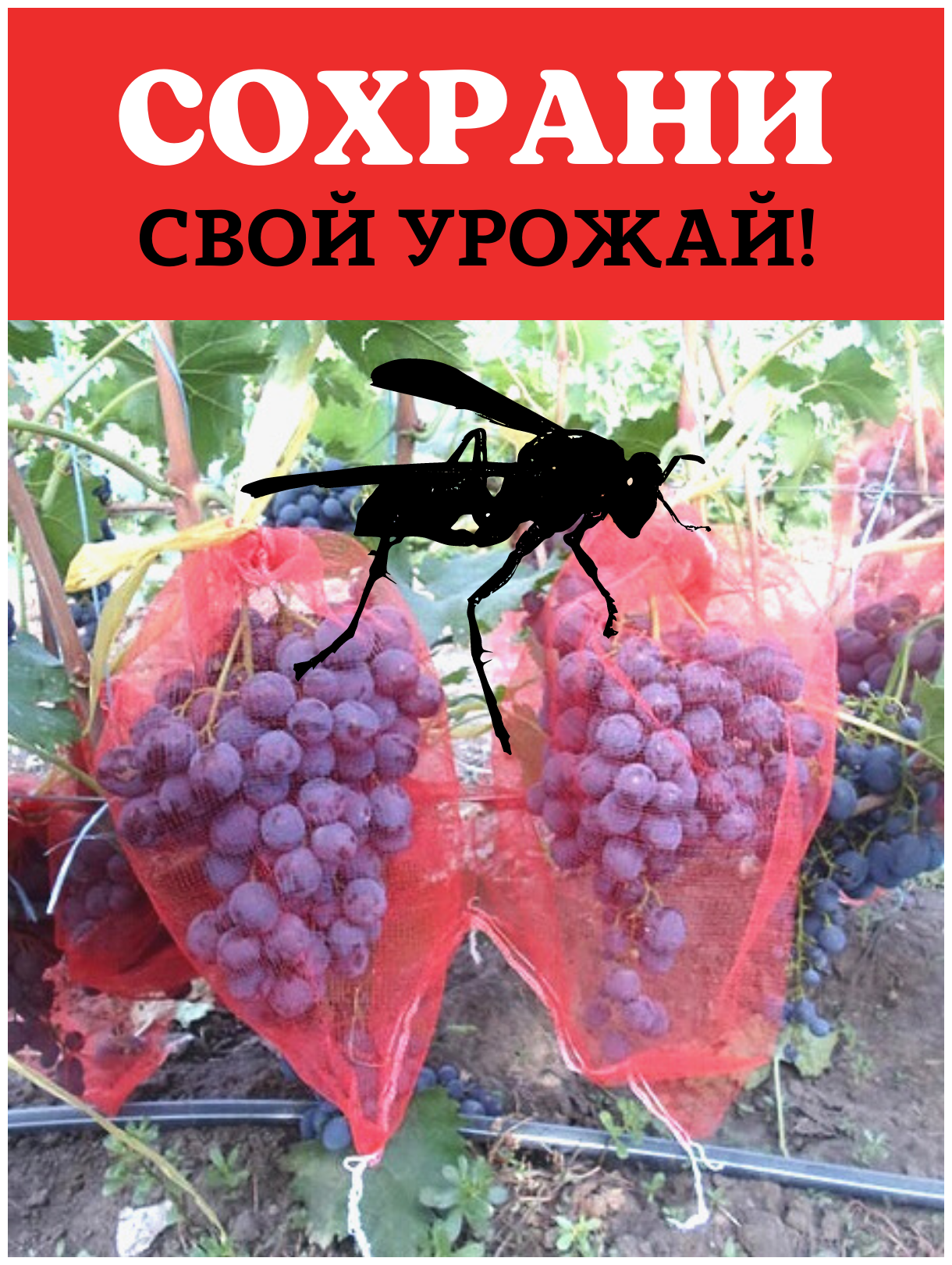 Благодатное земледелие Мешочки для винограда от ос сетчатые 18х34 см, 25 шт. - фотография № 3