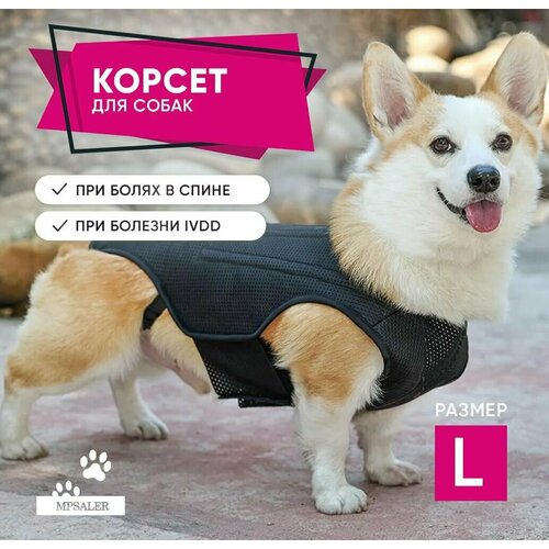 Корсет для спины собаки при болезни межпозвоночных дисков (IVDD). Восстановление и реабилитация домашних животных, обезболивающий пояс для спины. Размер L