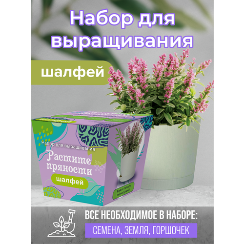 Коллекция наборов для выращивания Растите пряности Шалфей 339₽