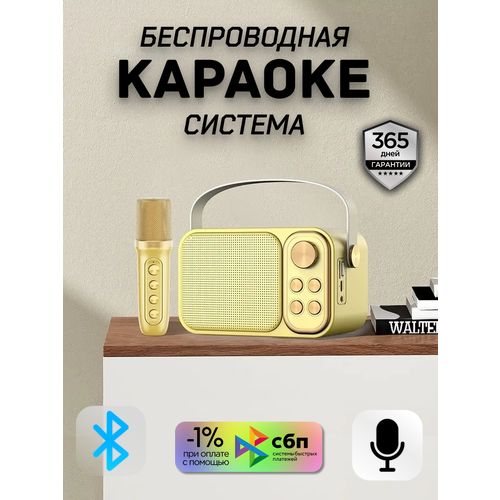 Караоке система детская с колонкой и изменением голоса