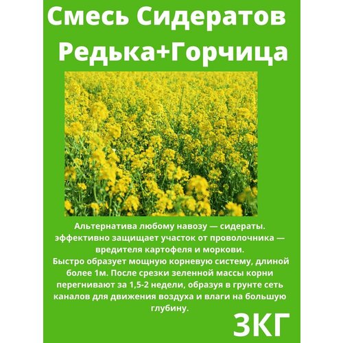 Семена Сидератов Редька+Горчица 3 кг смесь семена горчица редька 70 30 3 кг