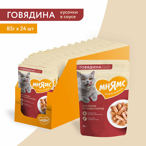 Влажный корм Мнямс Кусочки в соусе с говядиной для крупных кошек, 24 шт х 85 гр