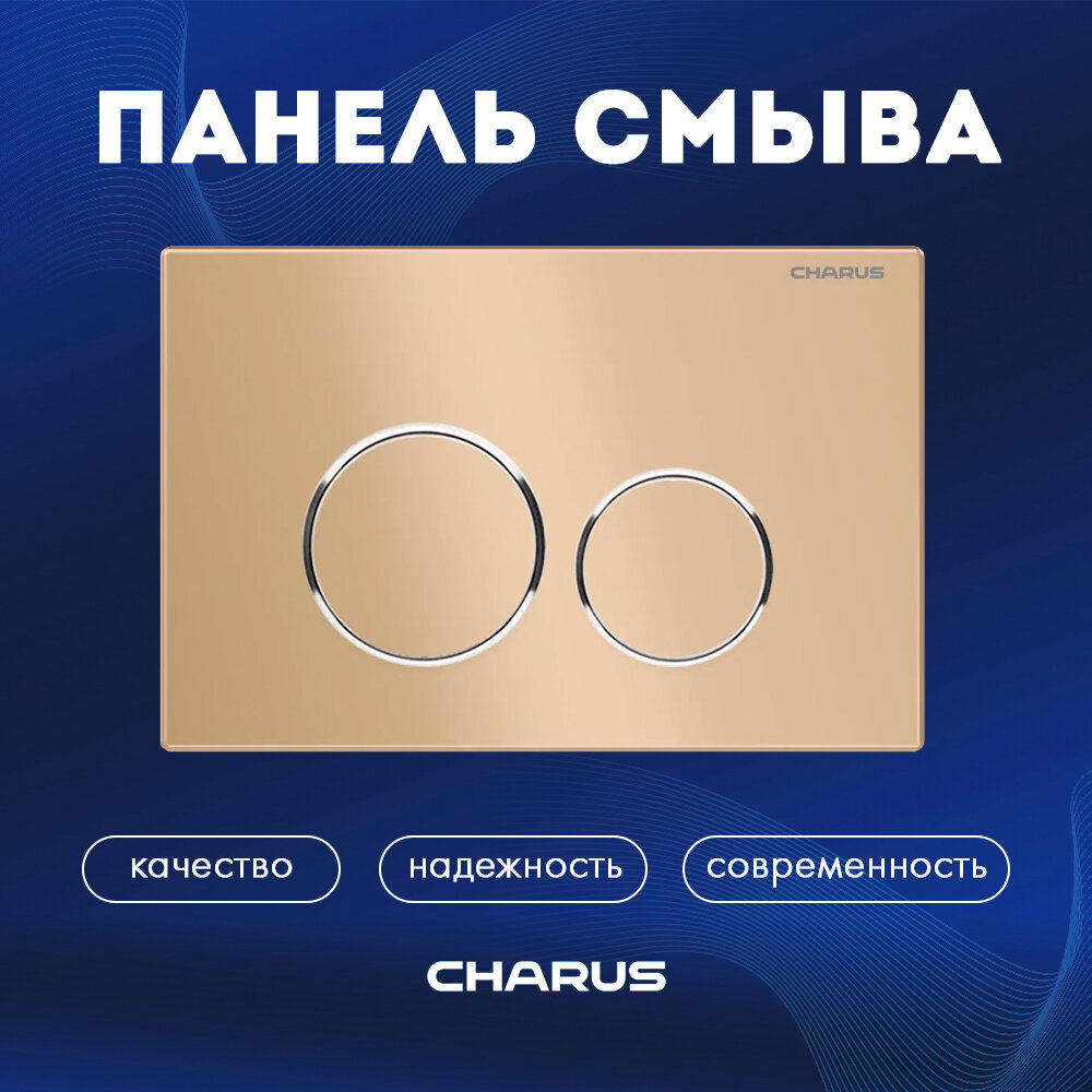 фото Панель смыва для инсталляций CHARUS SPAZIO FP.330.51.01, матовый песок