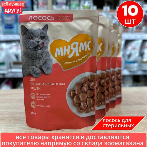 Влажный корм Мнямс Кусочки в соусе для Стерилизованных кошек, с Лососем, 85г х 10шт