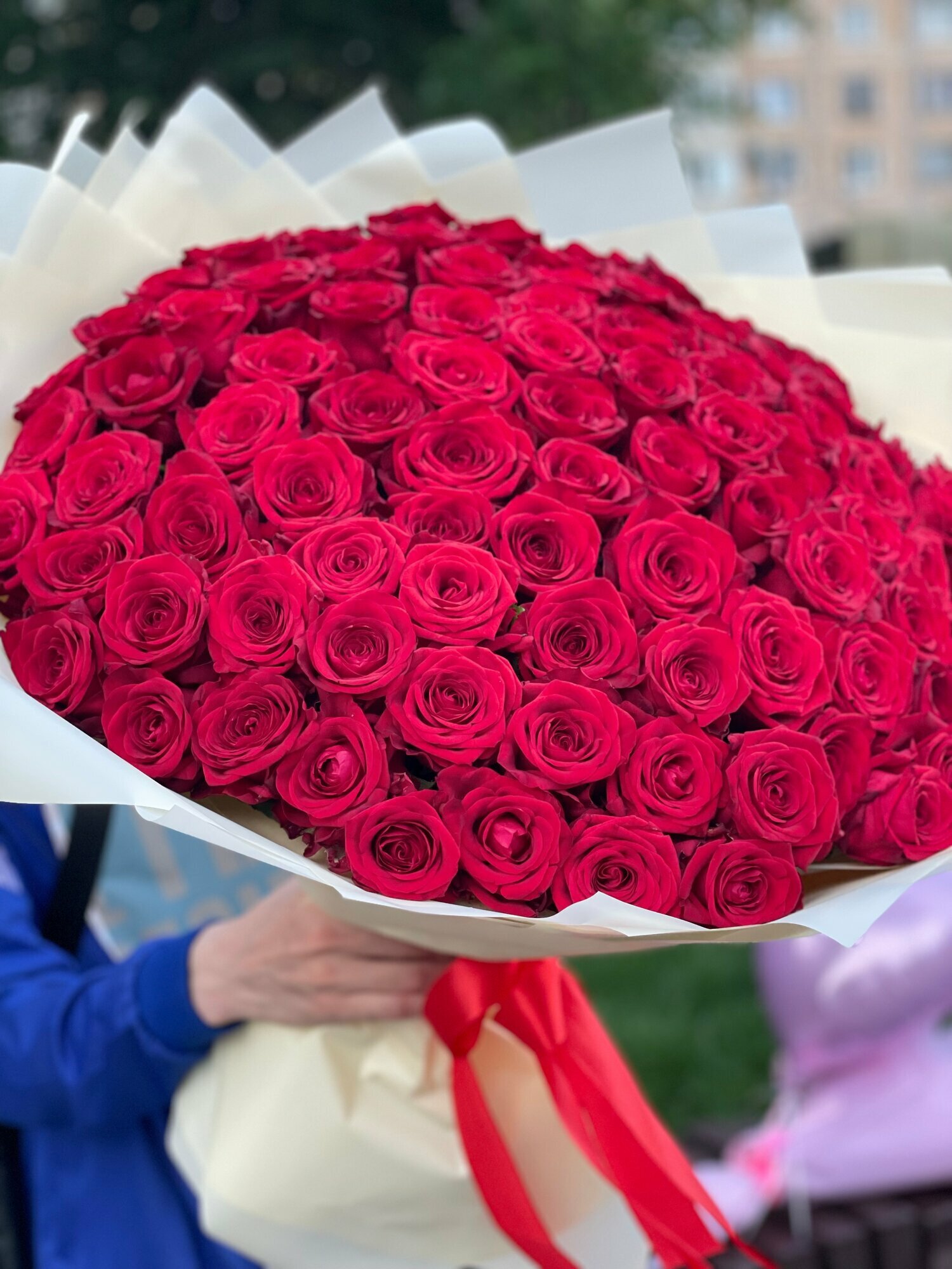 Букет из 59 красных роз