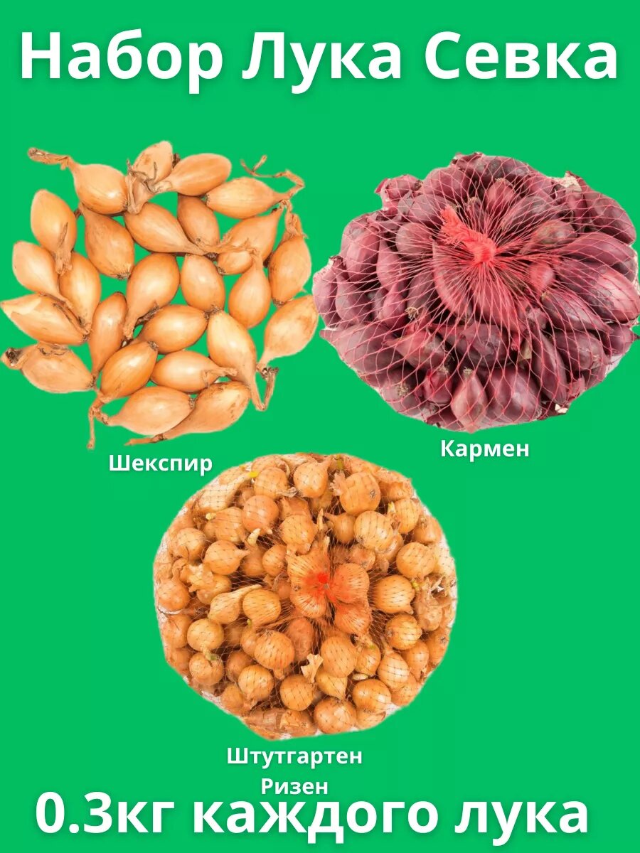 Набор Лук Севок 0.3 кг