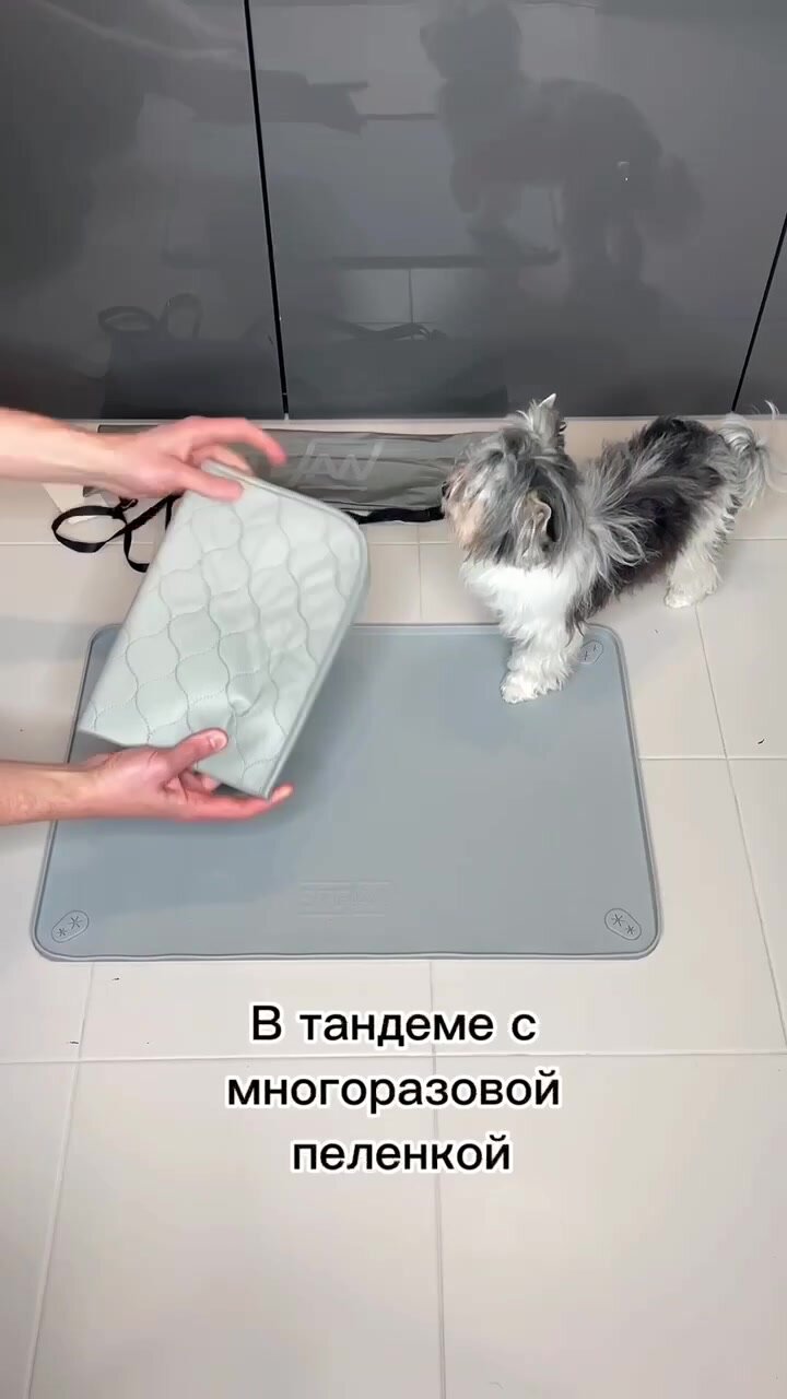 Лоток для собак STEFAN (Штефан) туалет для собак, складной, серый под пеленку 62*42 см WF60301 — фото 1