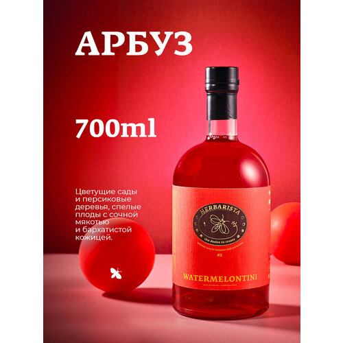 фото Сироп для кофе и коктейлей, десертов и выпечки herbarista, арбуз watermelontini, 700 мл