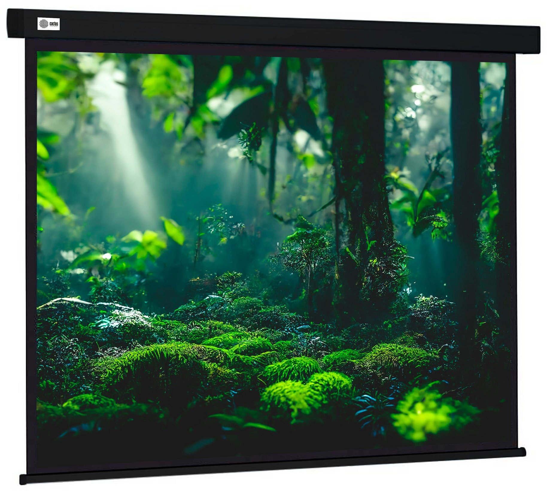 Экран Cactus 213x213см Wallscreen CS-PSW-213X213-BK 1:1 настенно-потолочный рулонный черный
