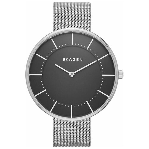 Наручные часы Skagen SKW2561