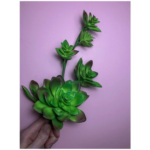 Реалистичное высококачественное растение суккулент для террариума Simbel №28