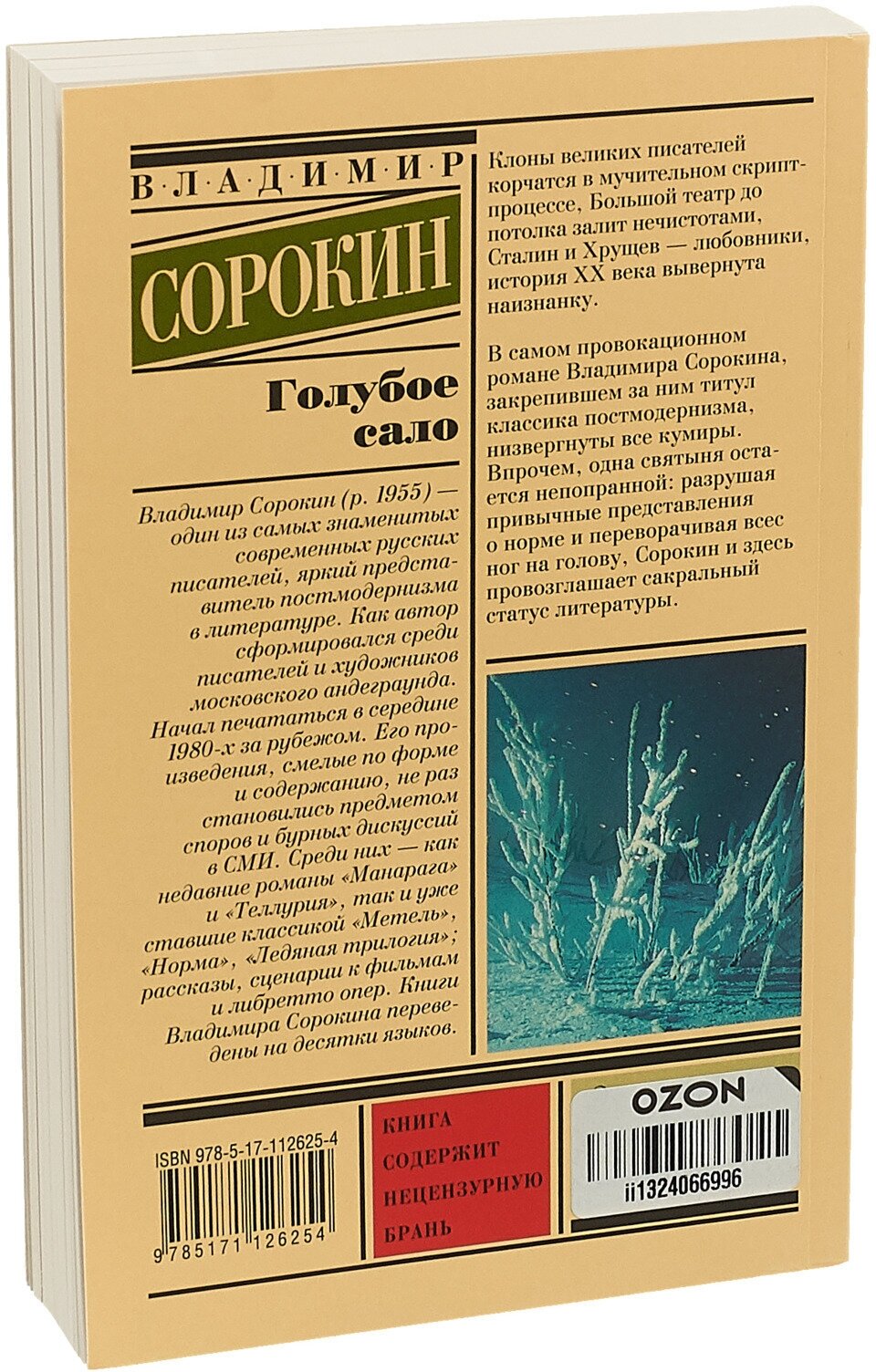 Голубое сало (Сорокин Владимир Георгиевич) - фото №3