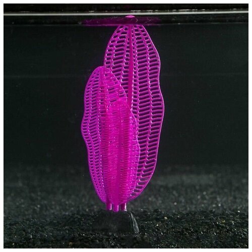Растение силиконовое аквариумное, светящееся в темноте, 6 х 19 см, фиолетовое, 1 шт.