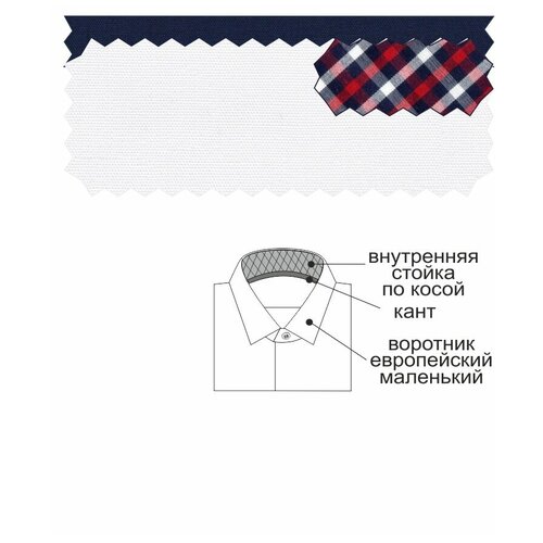 Рубашка мужская длинный рукав CASINO c100/157/ice/Z/7p, Полуприталенный силуэт / Regular fit, цвет Белый, рост 174-184, размер ворота 42