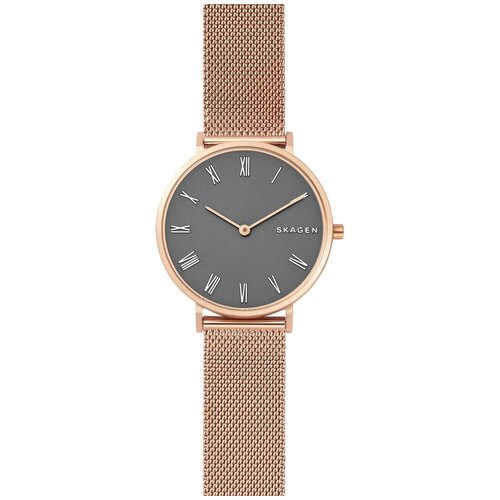 Наручные часы Skagen SKW2675