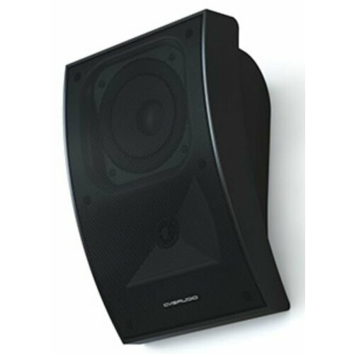Настенный громкоговоритель CVGAUDIO WPA10TBL 335400₽