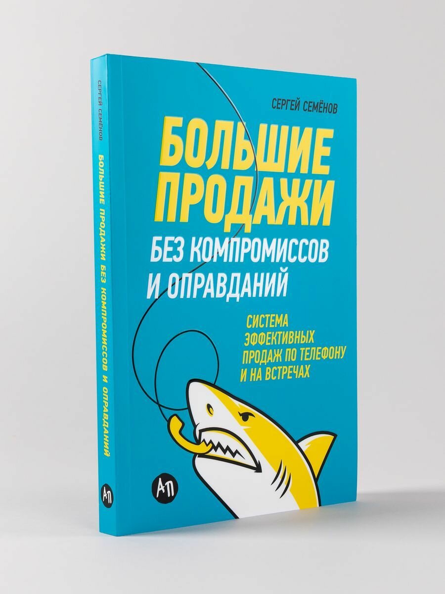 Большие продажи без компромиссов и оправданий. Система эффективных продаж по телефону и на встречах - фото №12