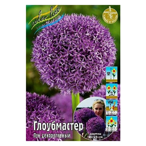 Многолетний декоративный лук 