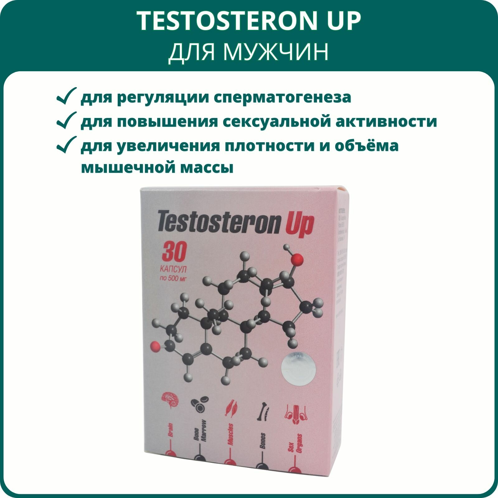 Testosteron Up для мужчин, 30 капсул. Препарат от Сашера-Мед для регуляции мужских гормонов и уровня тестостерона, при бесплодии, для настроения и работоспособности