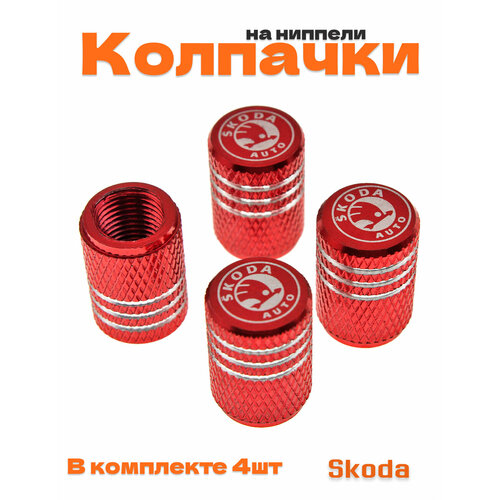 фото Колпачки на ниппель для skoda