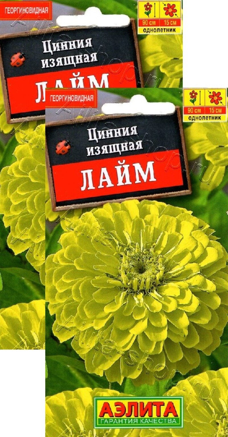Семена Цинния Лайм (03 г) 2 пакета Агрофирма Аэлита высота 80-90 см